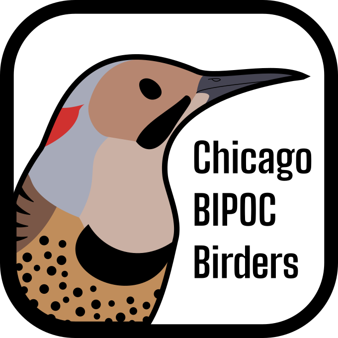 Chicago BIPOC Birders